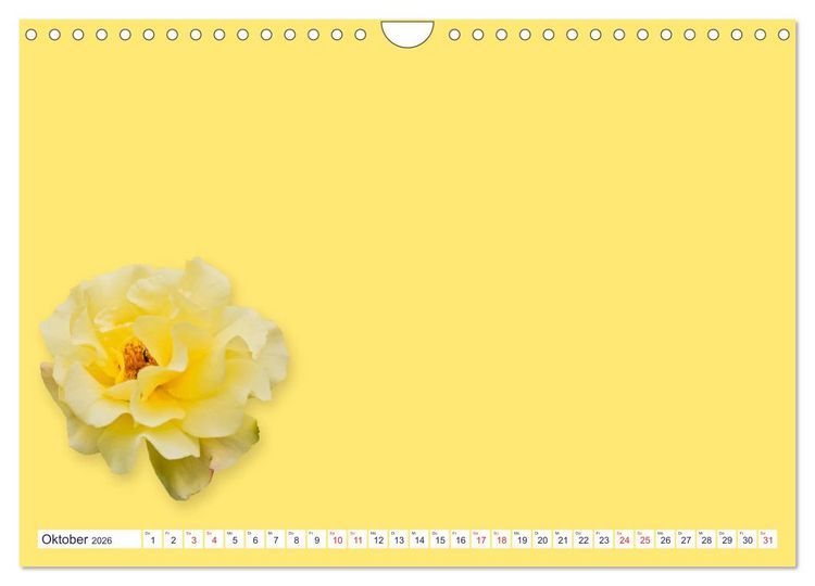 Produktbild: DIY POESIE - BASTELKALENDER (Wandkalender 2026 DIN A4 quer), CALVENDO Monatskalender