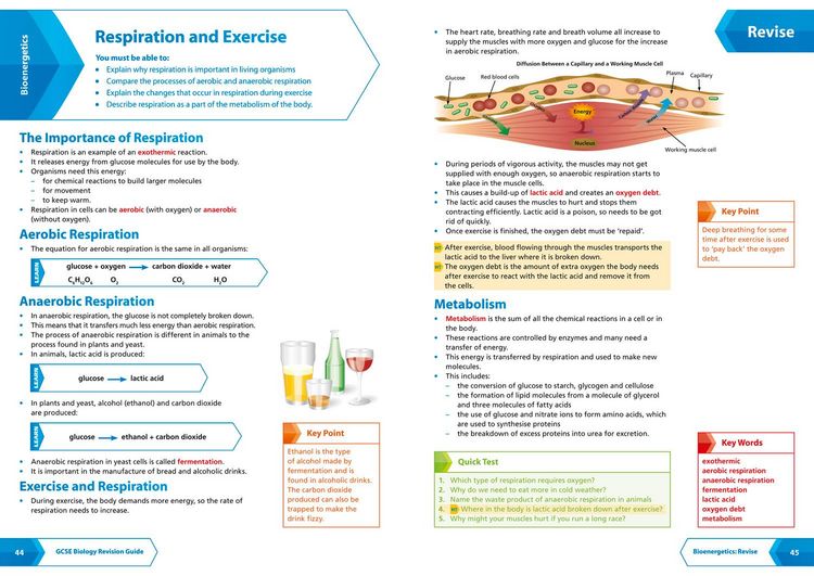 Produktbild: Collins GCSE Grade 9-1 Revision