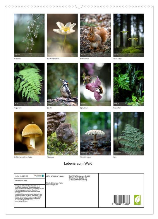 Produktbild: Lebensraum Wald (hochwertiger Premium Wandkalender 2026 DIN A2 hoch), Kunstdruck in Hochglanz