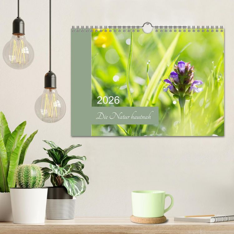 Produktbild: Die Natur hautnah (Wandkalender 2026 DIN A4 quer), CALVENDO Monatskalender
