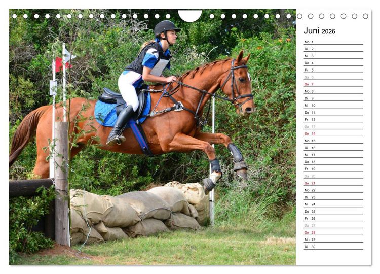 Produktbild: Mein Reitsport Kalender (Wandkalender 2026 DIN A4 quer), CALVENDO Monatskalender