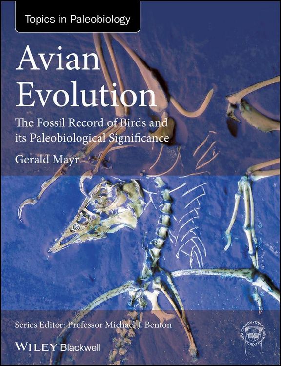 Produktbild: Avian Evolution