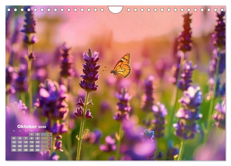 Produktbild: Lavendel f&uuml;r deine Sinne (Wandkalender 2026 DIN A4 quer), CALVENDO Monatskalender