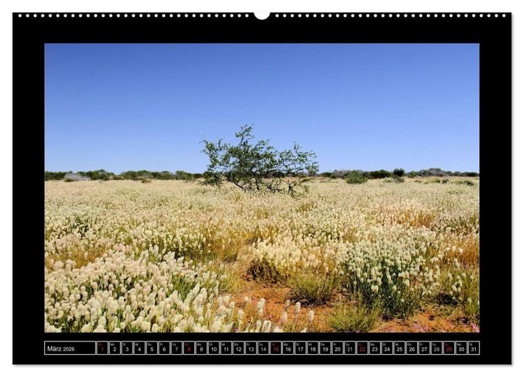 Produktbild: Australien - Von Perth bis Darwin (hochwertiger Premium Wandkalender 2026 DIN A2 quer), Kunstdruck in Hochglanz