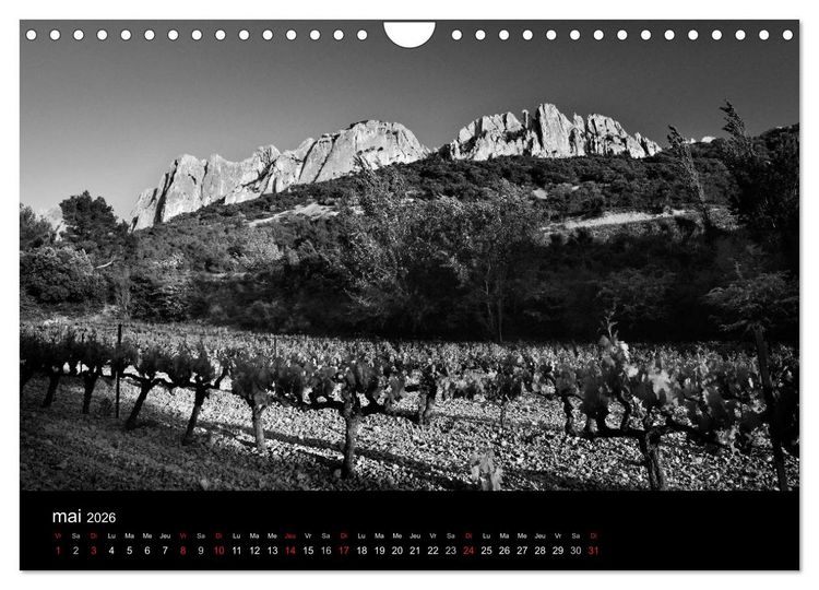 Produktbild: VIGNES DU SUD terroirs d'AOC (Calendrier mural 2026 DIN A4 vertical), CALVENDO calendrier mensuel
