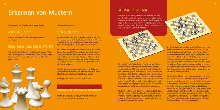 Produktbild: Schachtaktik