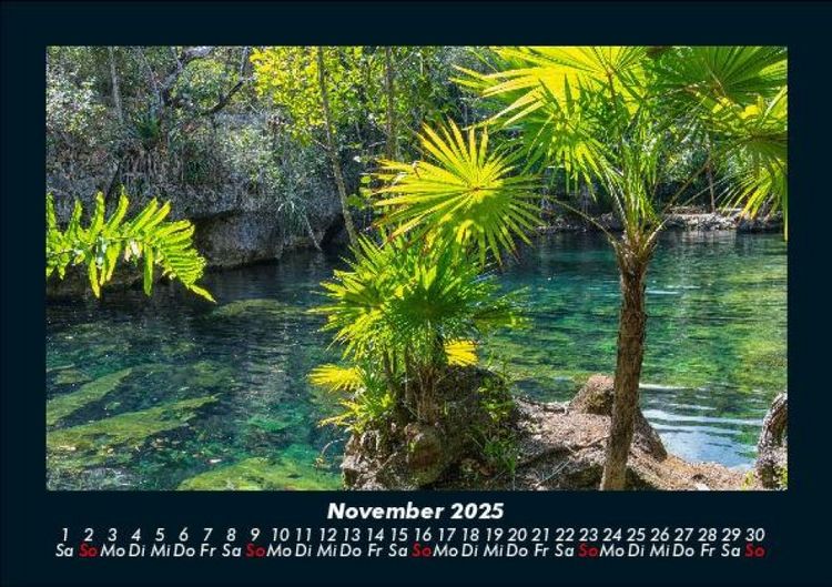 Produktbild: Palmentraum 2025 Fotokalender DIN A5