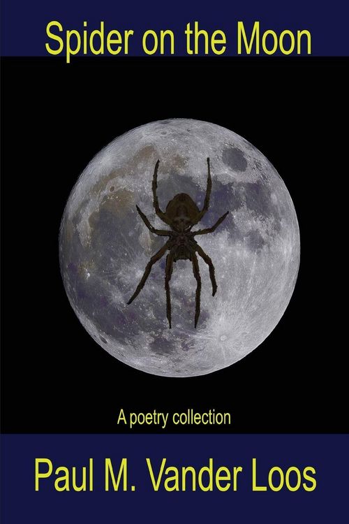 Produktbild: Spider on the Moon