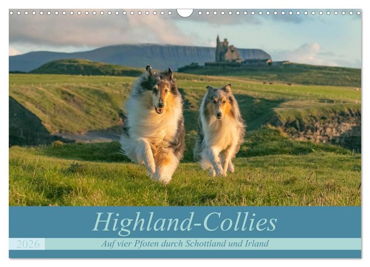 Produktbild: Highland-Collies - Auf vier Pfoten durch Schottland und Irland (Wandkalender 2026 DIN A3 quer), CALVENDO Monatskalender