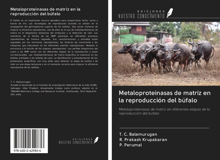 Produktbild: Metaloproteinasas de matriz en la reproducci&oacute;n del b&uacute;falo