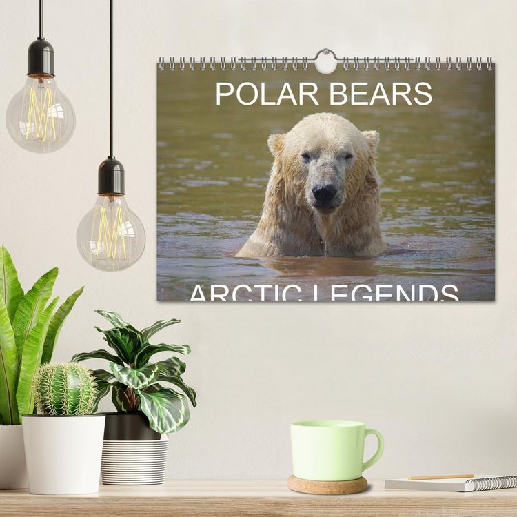 Produktbild: POLAR BEARS - ARCTIC LEGENDS (Wall Calendar 2026 DIN A4 landscape), CALVENDO 12 Month Wall Calendar