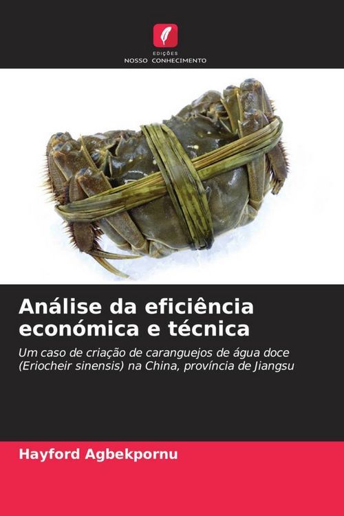 Produktbild: An&aacute;lise da efici&ecirc;ncia econ&oacute;mica e t&eacute;cnica