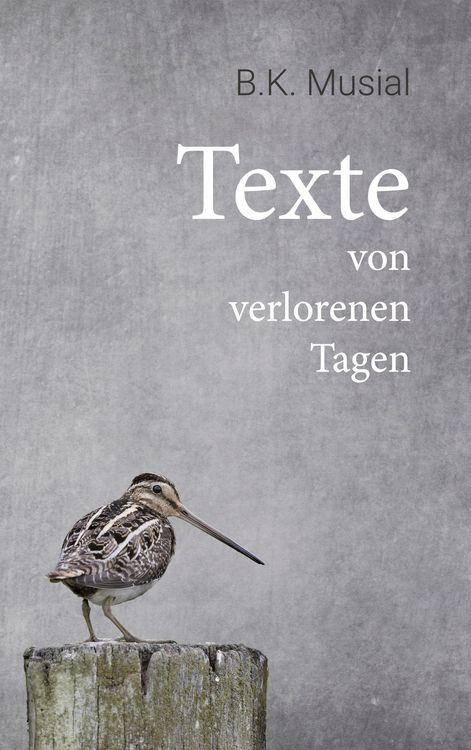 Produktbild: Texte von verlorenen Tagen