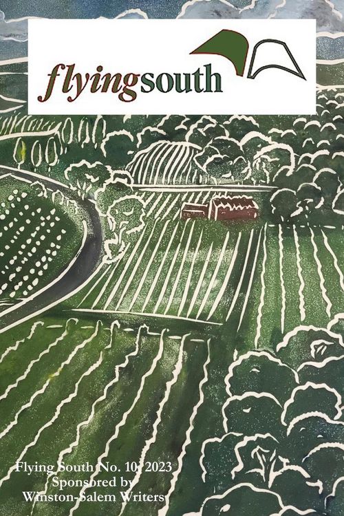 Produktbild: Flying South 2023