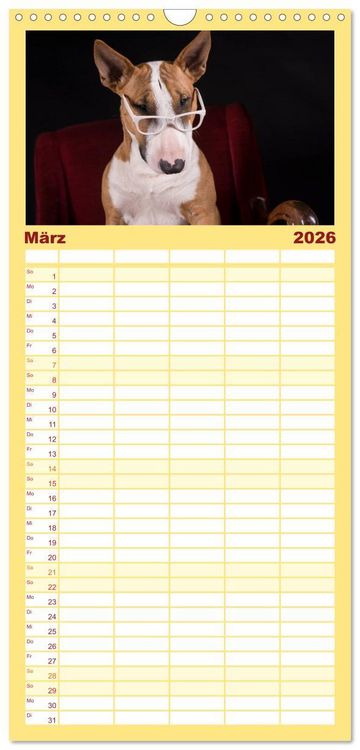 Produktbild: Familienplaner 2026 - Bullterrier mit 5 Spalten (Wandkalender, 21 x 45 cm) CALVENDO