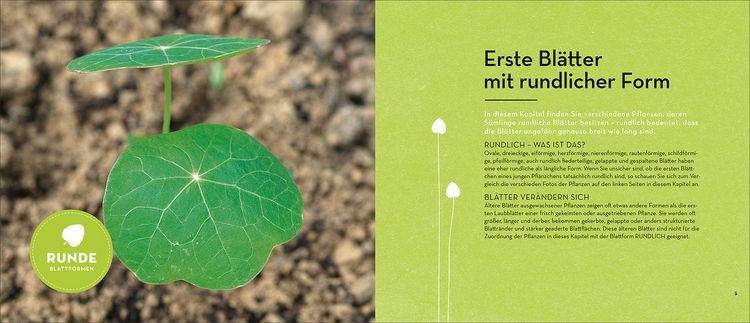 Produktbild: Wird das was oder kann das weg?