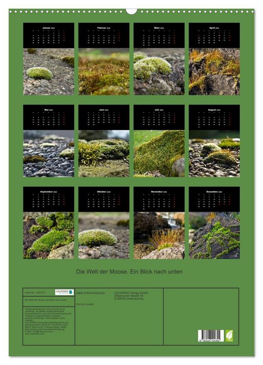 Produktbild: Die Welt der Moose. Ein Blick nach unten (Wandkalender 2026 DIN A2 hoch), CALVENDO Monatskalender