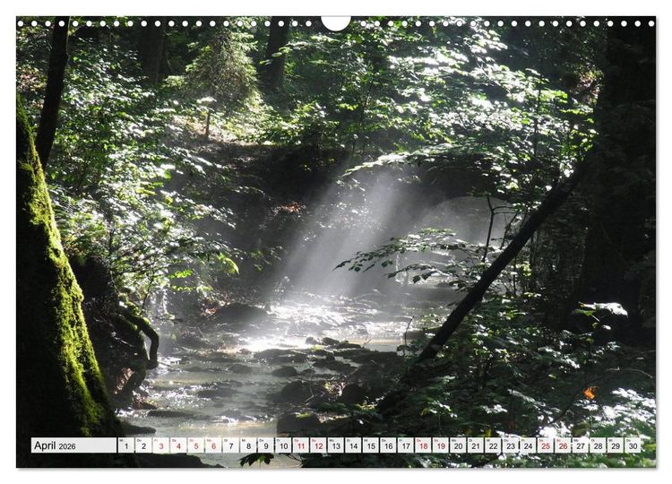 Produktbild: G&ouml;ttererwachen. Die Natur im mystischen Nebel (Wandkalender 2026 DIN A3 quer), CALVENDO Monatskalender