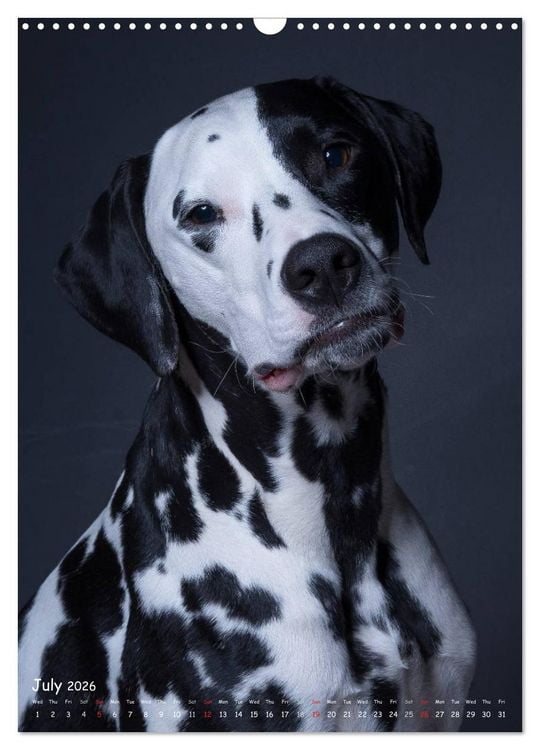 Produktbild: Dogs in Style (Wall Calendar 2026 DIN A3 portrait), CALVENDO 12 Month Wall Calendar