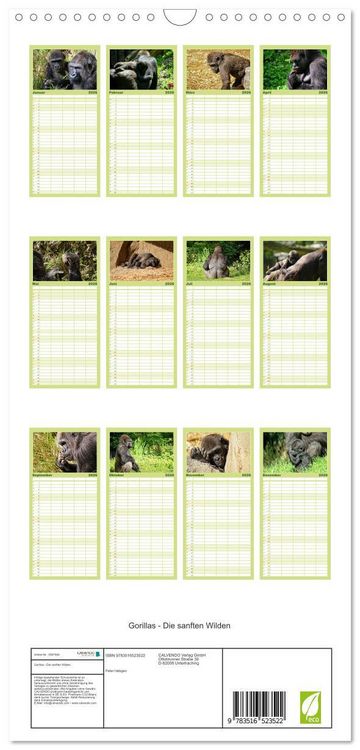 Produktbild: Familienplaner 2026 - Gorillas - Die sanften Wilden mit 5 Spalten (Wandkalender, 21 x 45 cm) CALVENDO