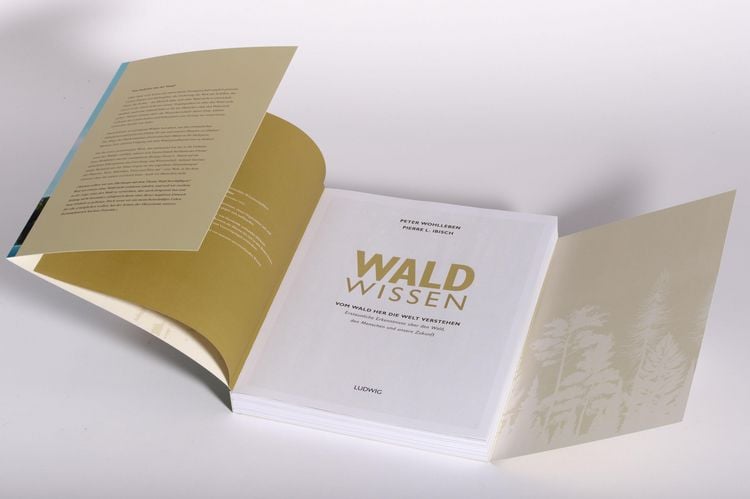 Produktbild: Waldwissen