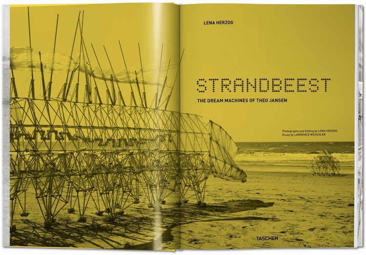 Produktbild: Strandbeest