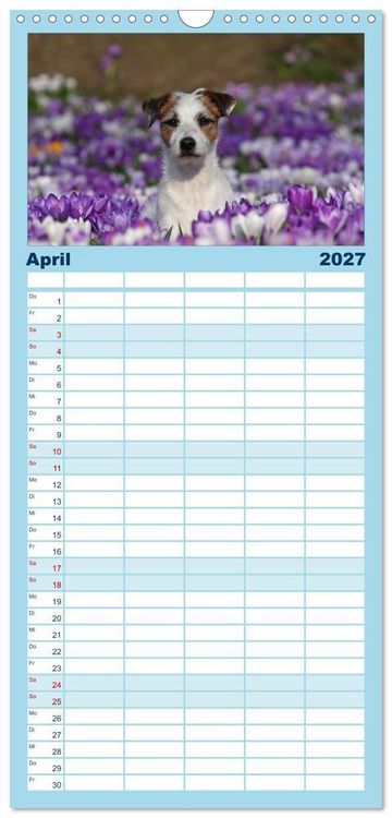 Produktbild: Familienplaner 2027 - Parson Russell Terrier mit 5 Spalten (Wandkalender, 21 x 45 cm) CALVENDO