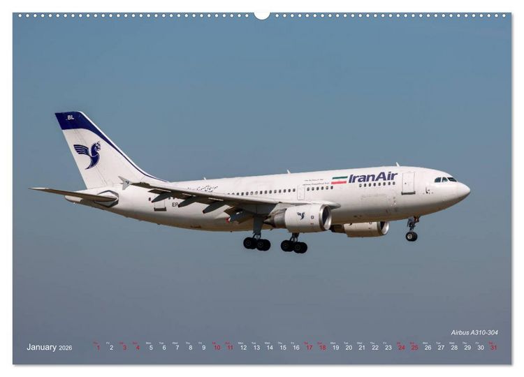 Produktbild: Airliners of the Middle East (High Quality Premium Wall Calendar 2026 DIN A2 landscape),CALVENDO 12 Month Wall Calendar
