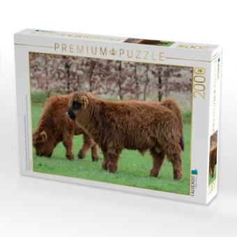 Produktbild: CALVENDO Puzzle Der Nachwuchs bei den g&auml;llischen Rindern zieht jede Wiese einem Stall vor. | 2000 Teile Lege-Gr&ouml;&szlig;e 90x67cm Foto-Puzzle f&uuml;r gl&uuml;ckliche