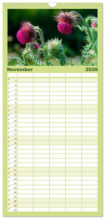 Produktbild: Familienplaner 2026 - Wildblumen 2026 mit 5 Spalten (Wandkalender, 21 x 45 cm) CALVENDO