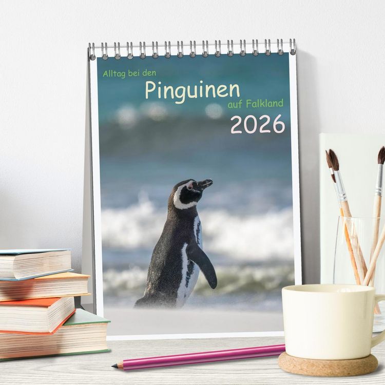 Produktbild: Alltag bei den Pinguinen auf Falkland (Tischkalender 2026 DIN A5 hoch), CALVENDO Monatskalender