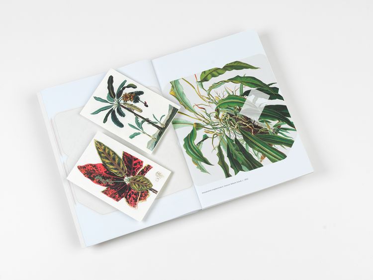Produktbild: Natural History