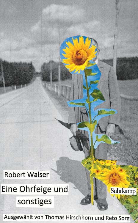 Bild vom Artikel Eine Ohrfeige und sonstiges vom Autor Robert Walser