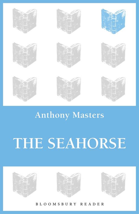 Produktbild: The Seahorse