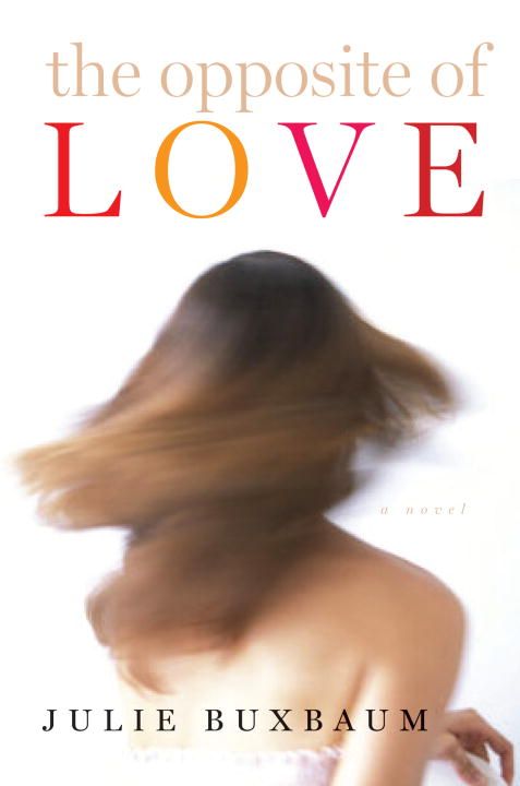 Produktbild: The Opposite of Love