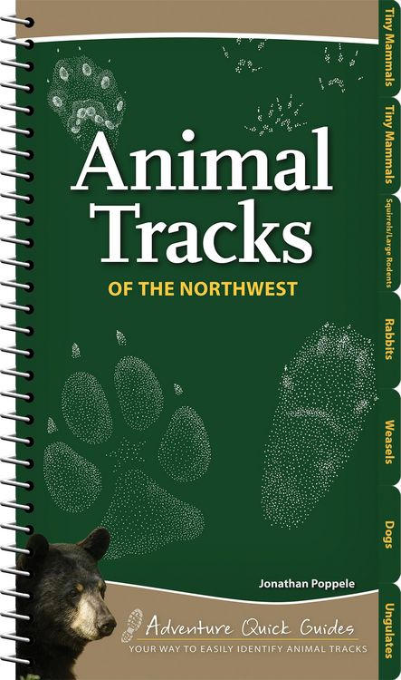 Produktbild: Animal Tracks of the Northwest