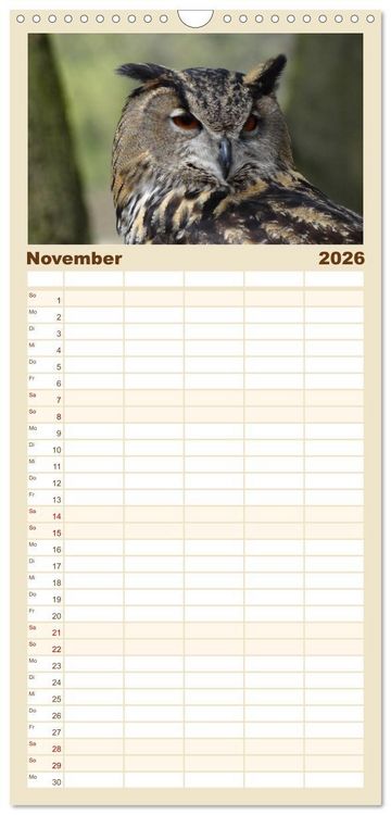 Produktbild: Familienplaner 2026 - Eulen. Gefiederte Weisheit mit 5 Spalten (Wandkalender, 21 x 45 cm) CALVENDO