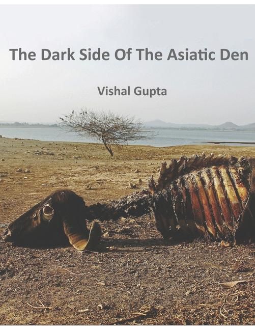Produktbild: The Dark Side of the Asiatic Den