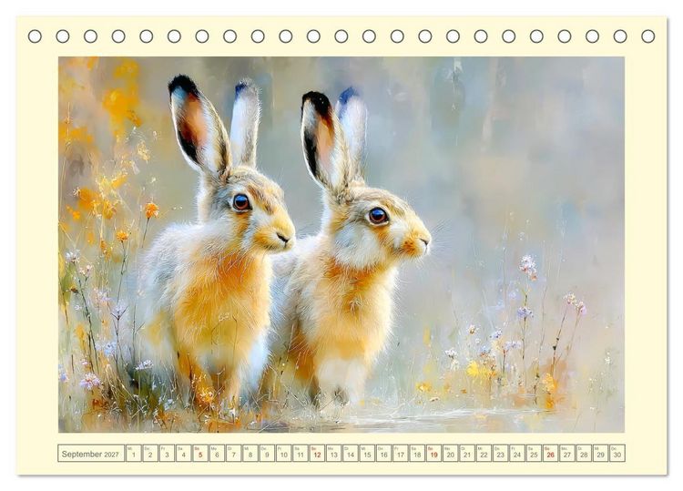 Produktbild: Wildhasen. Meister der Tarnung in offener Feldflur (Tischkalender 2027 DIN A5 quer), CALVENDO Monatskalender