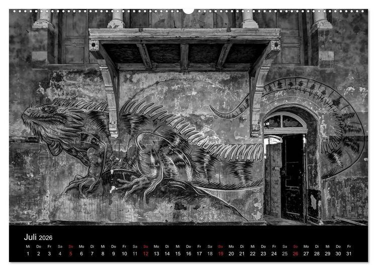 Produktbild: lost beauty (Wandkalender 2026 DIN A2 quer), CALVENDO Monatskalender
