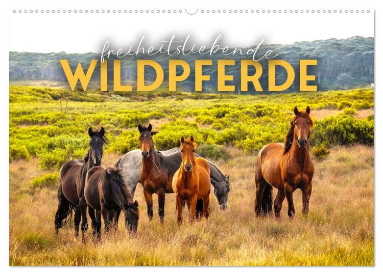 Produktbild: Freiheitsliebende Wildpferde (Wandkalender 2026 DIN A2 quer), CALVENDO Monatskalender