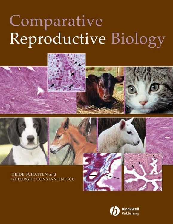 Produktbild: Comparative Reproductive Biology