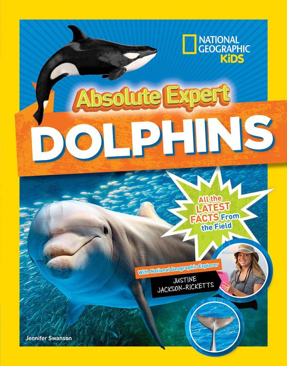Produktbild: Absolute Expert: Dolphins