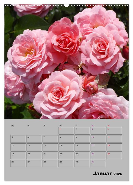 Produktbild: Rosen - Symbol der Liebe und Verehrung (hochwertiger Premium Wandkalender 2026 DIN A2 hoch), Kunstdruck in Hochglanz