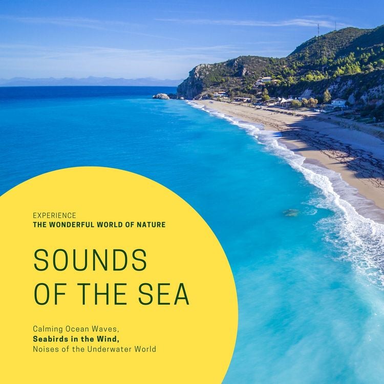 Produktbild: Sounds Of The Sea: Calming Ocean Waves, Seabirds in the Wind, Noises of the Underwater World