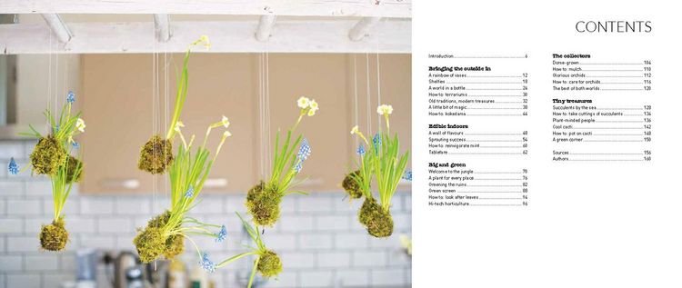 Produktbild: Leendertz, L: My Tiny Indoor Garden