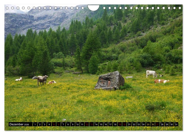 Produktbild: Sulden - S&uuml;dtiroler Bergdorf am Fu&szlig;e des Ortlers (Wandkalender 2026 DIN A4 quer), CALVENDO Monatskalender