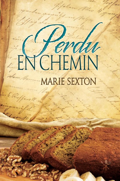 Produktbild: Perdu en chemin