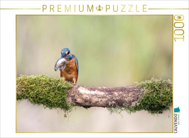 Produktbild: CALVENDO Puzzle Eisvogel mit Fisch im Schnabel | 1000 Teile Lege-Gr&ouml;&szlig;e 64x48cm Foto-Puzzle f&uuml;r gl&uuml;ckliche Stunden