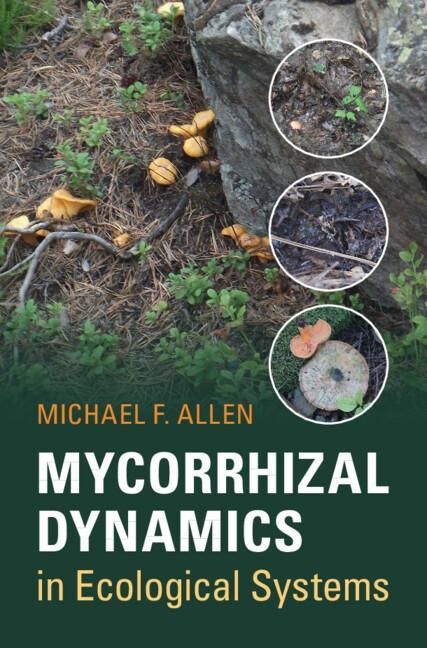 Produktbild: Mycorrhizal Dynamics in Ecological Systems